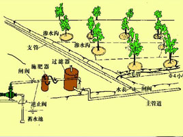 灌溉系统