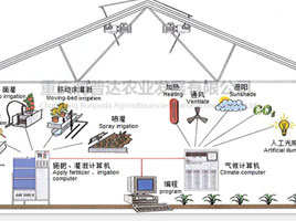 物联网系统（7）